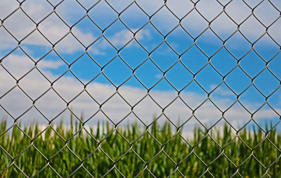 Chain link Fence